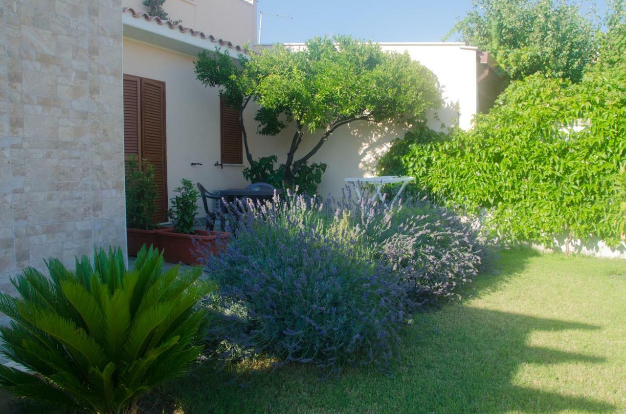 Baia Benessere B&B Eco Vegan Santa Severa Extérieur photo